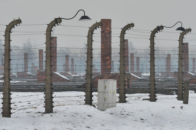 Barbed wire fences surround the Auschwitz death camp, now a museum
