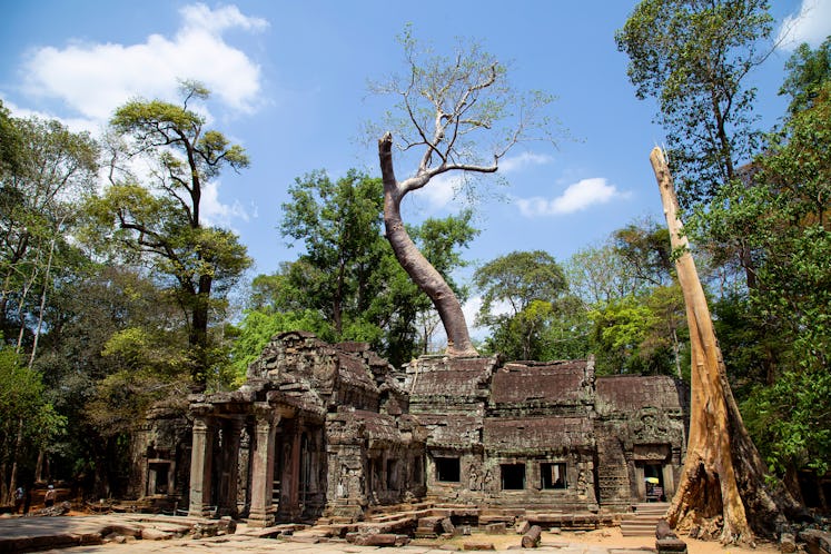 With green spaces like Angkor Wat mostly protected in Cambodia, any swap would have to get creative.
