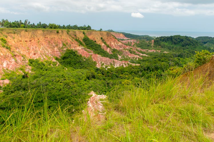 Angolan forests are beautiful but mostly unprotected. That could provide an opportunity.