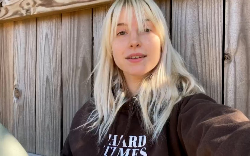 A photograph of singer Hayley Williams