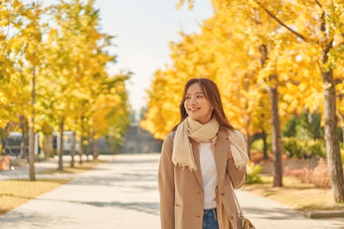 autumn, foliage