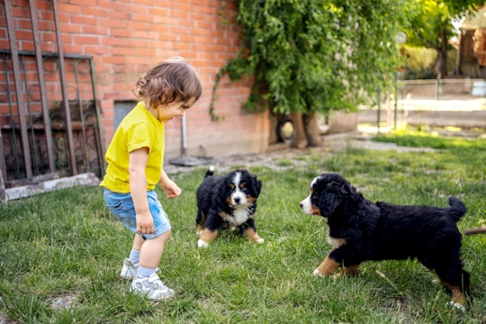 Jumping puppies can scare toddlers, but a little training can help.