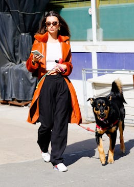 Nike classic cortez celebrities Clearance