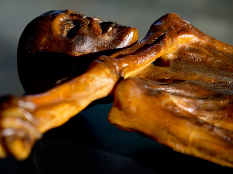A replication of Oetzi the Iceman is on display as part of the exhibition Oetzi 2.0 at the state arc...