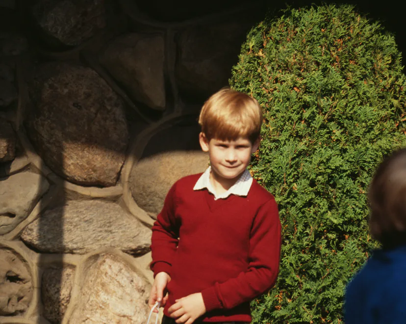 Prince Harry holding a souvenir bag at Niagara Falls, during a visit to Canada, 26th October 1991. (...