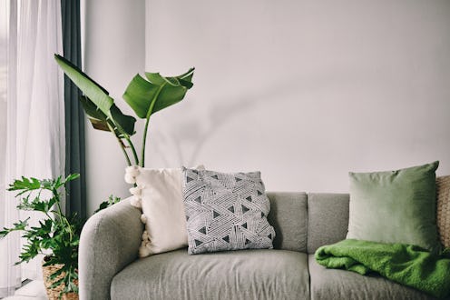 Don’t you simply love going to the sofa