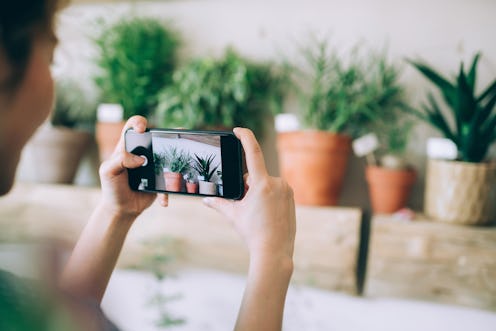 Young Asian female florist, owner of small business flower shop, taking pictures of potted plants. U...