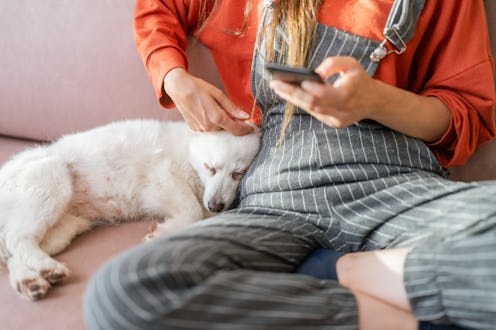 A woman is using a smart phone with her dog in the living room at home. Gen Z shares finsta name ide...