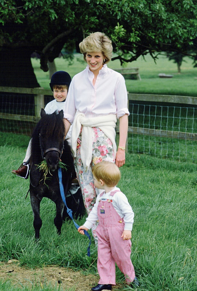 Princess Diana plays with her sons outside.