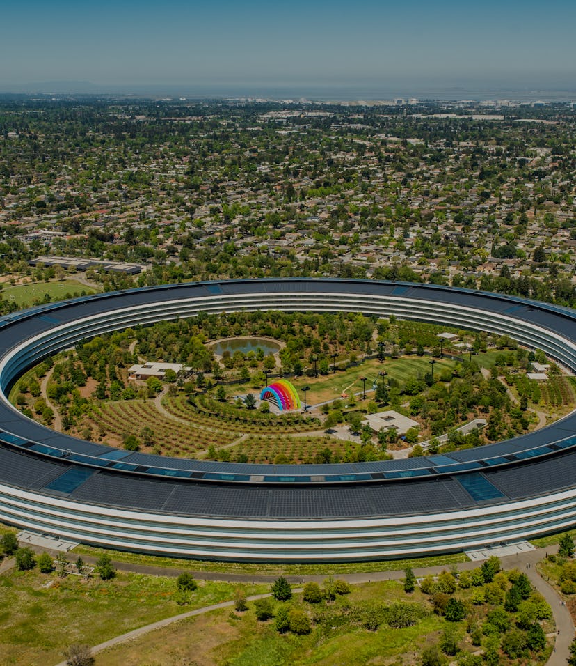 Apple Computer's new Apple Park headquarters features a natural colorful outdoor auditorium in the c...