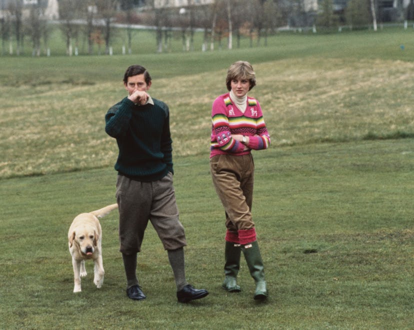 Prince Charles and Lady Diana Spencer (later Diana, Princess of Wales, 1961 - 1997) hold a photocall...