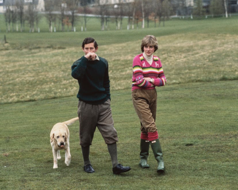 Prince Charles and Lady Diana Spencer (later Diana, Princess of Wales, 1961 - 1997) hold a photocall...