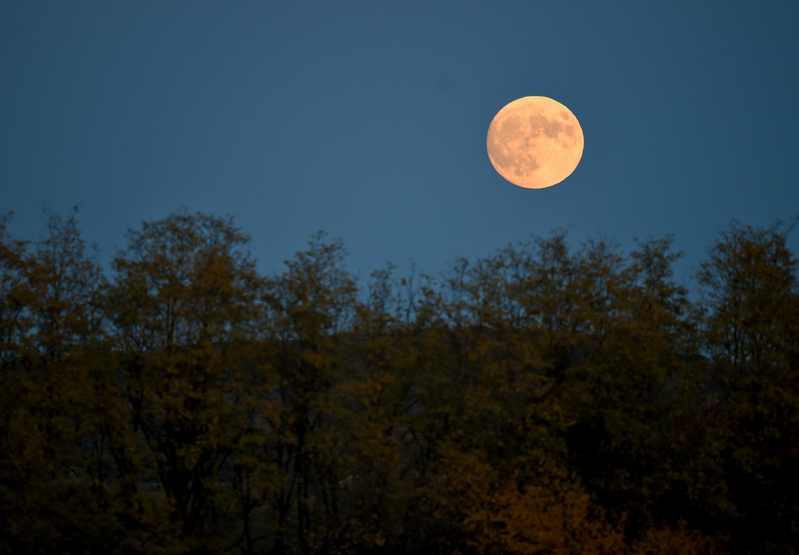 What Is The Spiritual Meaning Of The Hunter's Moon? An Astrologer Explains