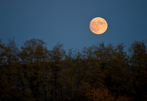 A full moon rises over autumn leaves. An astrologer explains the spiritual meaning of the October fu...