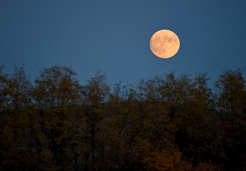 A full moon rises over autumn leaves. An astrologer explains the spiritual meaning of the October fu...