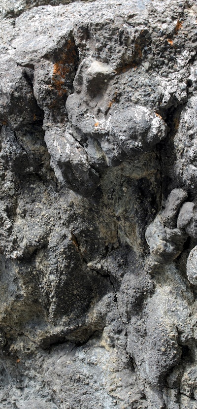 A dinosaur trackway named the Dinosaur Dance Floor at Denali National Park in Alaska.