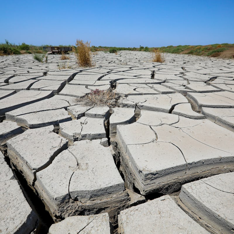 NEFTCHALA, AZERBAIJAN - JULY 05: Drylands areas around the area of the Kura River on July 5, 2020 in...