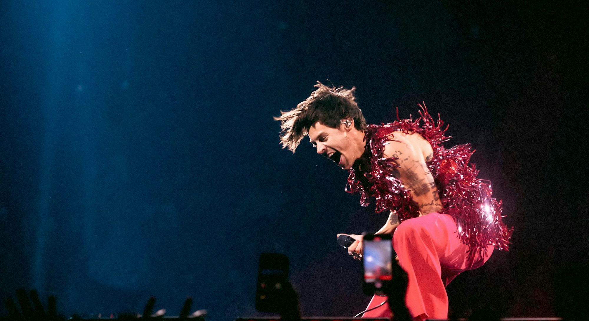 8 Harry Styles Tour Outfits That'll Make You Do A Double Take