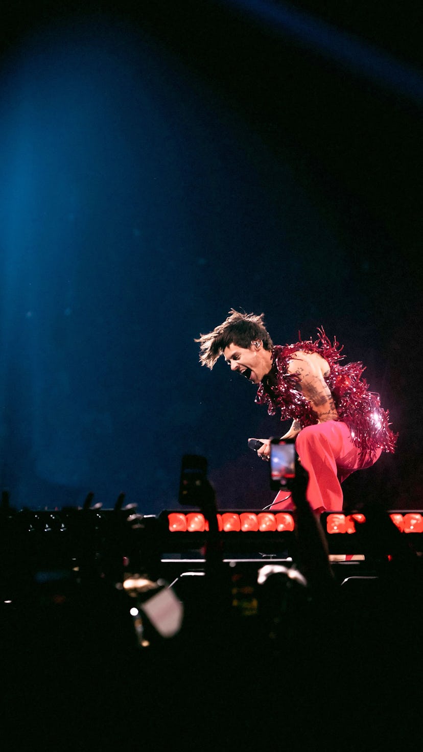 Harry Styles' tour outfits are just as epic as his music, from feathered blazers to fringe vests.