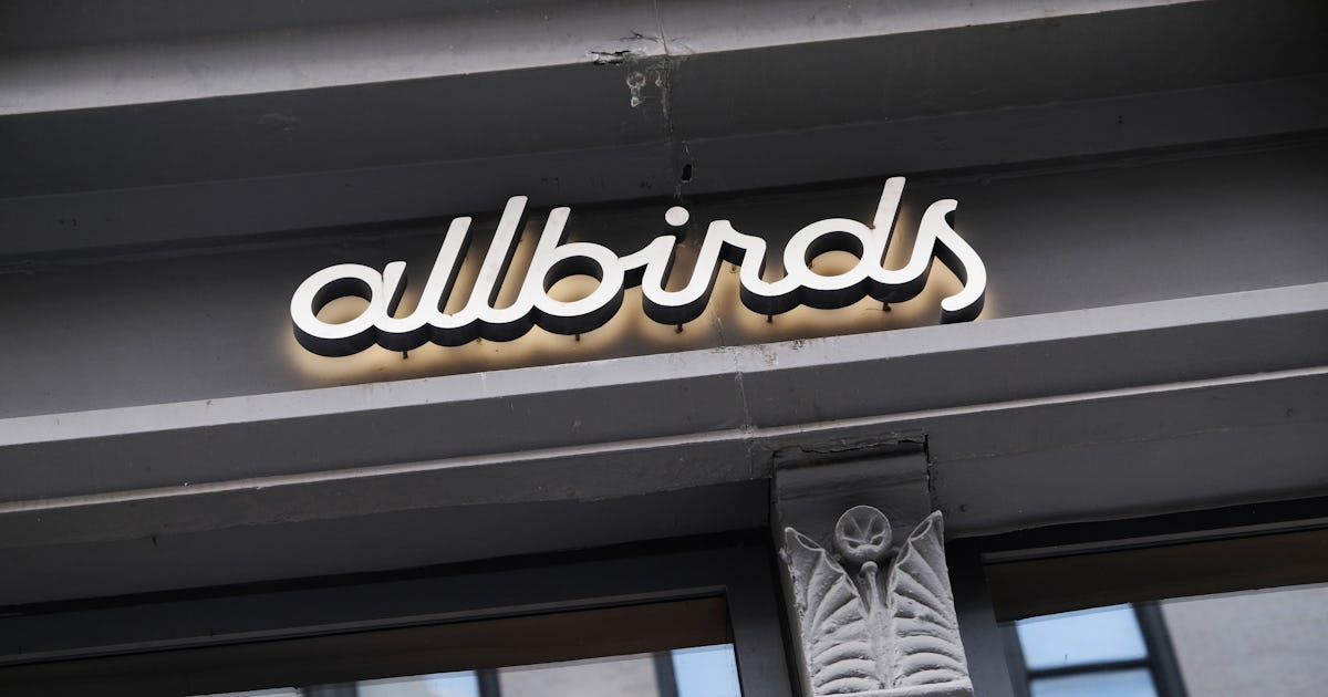 Allbirds' Black Friday Sale 2021 Debuts The Mizzle Fluff Line