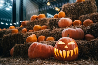 Pumpkin with spooky illuminated carved face with lightening among many pumpkins on haystacks. Hallow...