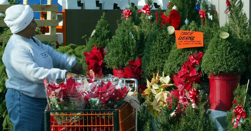 When Does Home Depot Put Out Christmas 2021? There Is So Much