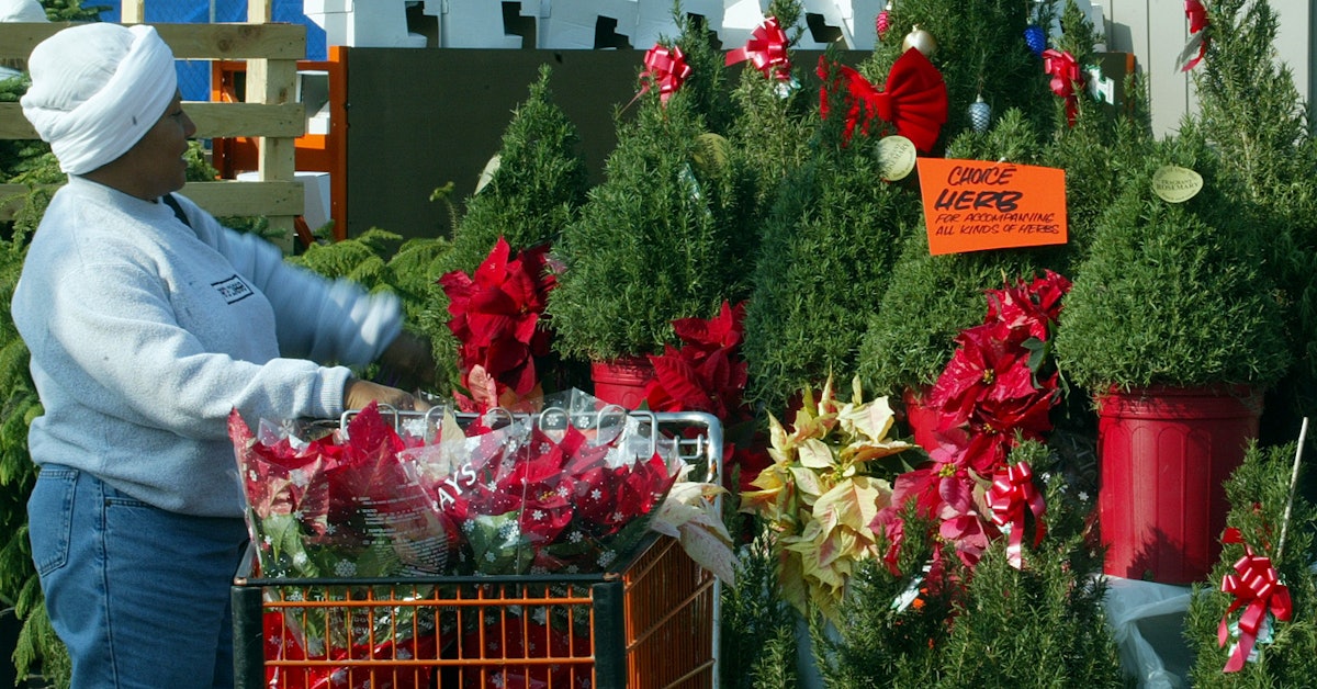When Does Home Depot Put Out Christmas 2021? There Is So Much