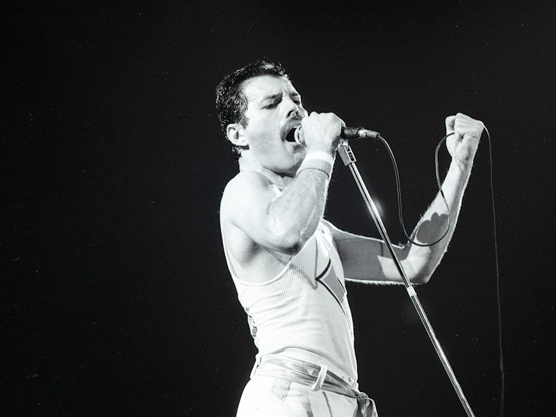 Sept. 7, 1982: Freddie Mercury and Queen perform at the Oakland Coliseum Arena in Oakland. (Photo by...