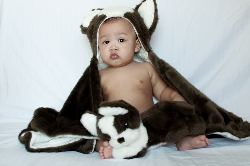 A portrait of a baby boy sitting wearing a dog costume against white background