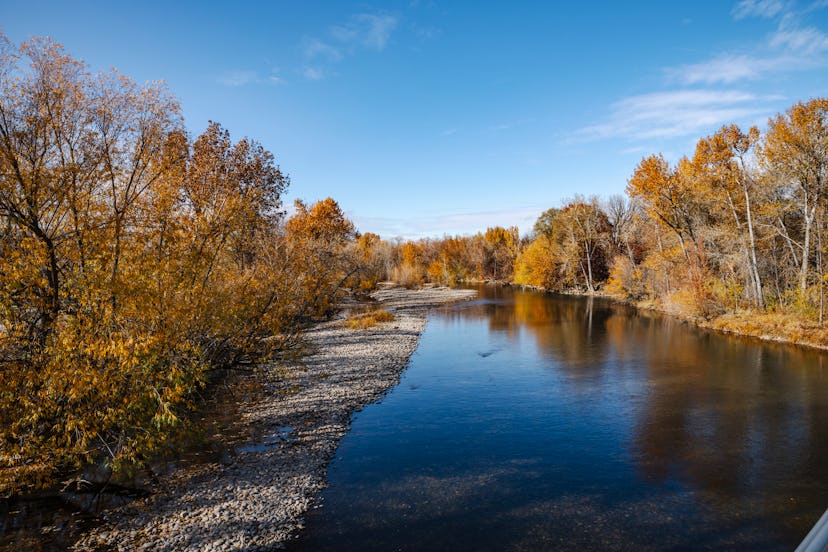 Boise river in downtown Boise Idaho in autumn color