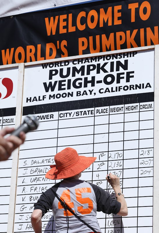 Nancy Beeman writes the winning weight of Steve Daletas'  pumpkin on a board during the 45th Annual ...