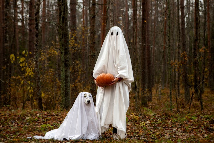 These ghost puns will make the spookiest captions for Instagrams with your boos.