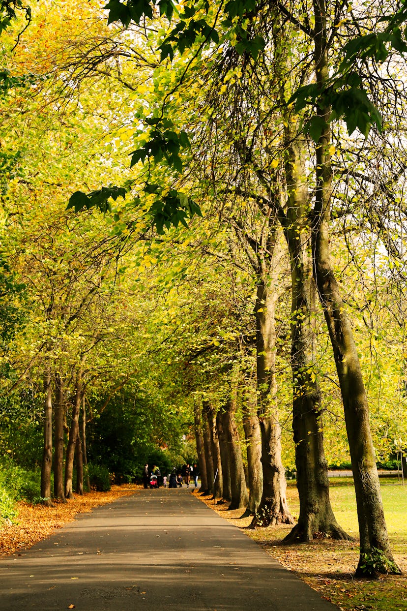 St. Stephen's Green park in Dublin, Ireland.