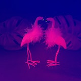 Two flamingos with monstera leafs in neon colors, pink and blue.