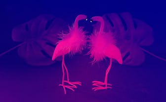 Two flamingos with monstera leafs in neon colors, pink and blue.