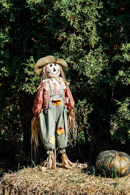 A scarecrow makes an easy halloween costume you can DIY with just a denim jacket.