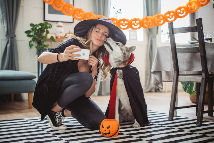 Use these clever quotes and captions for showing off your dog's Halloween costume on Instagram.