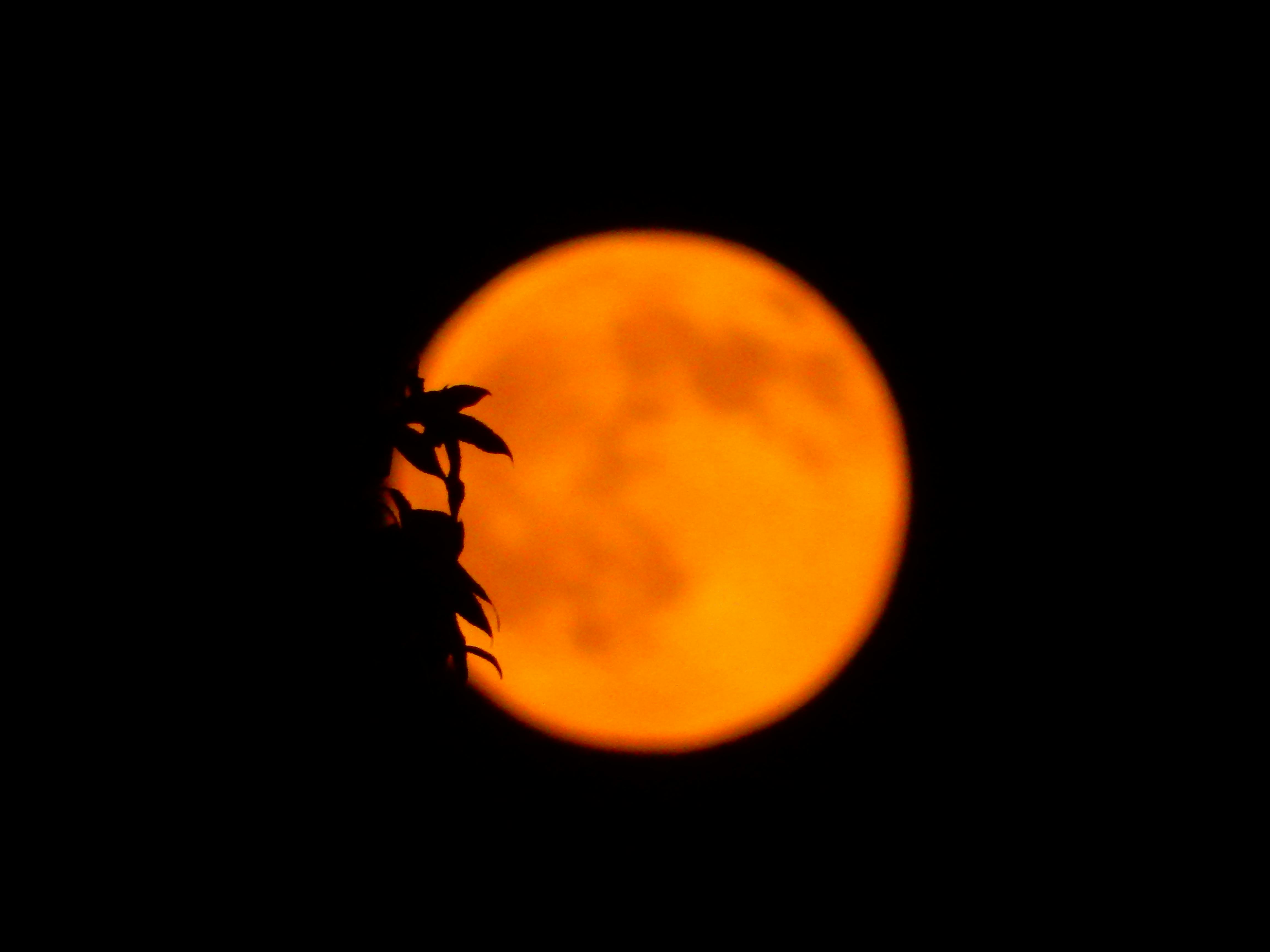 new moon october 2021