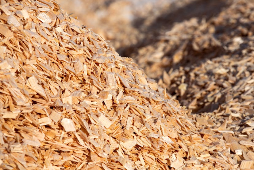 Wood chips in a yard outside a paper mill. Photographer: Andrey Rudakov/Bloomberg