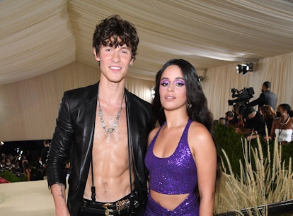 Camila Cabello says social media trolls impact her relationship with Shawn Mendes. 