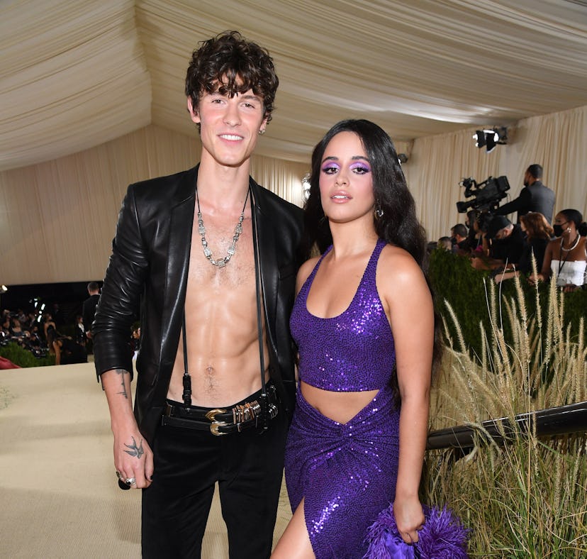Camila Cabello says social media trolls impact her relationship with Shawn Mendes.