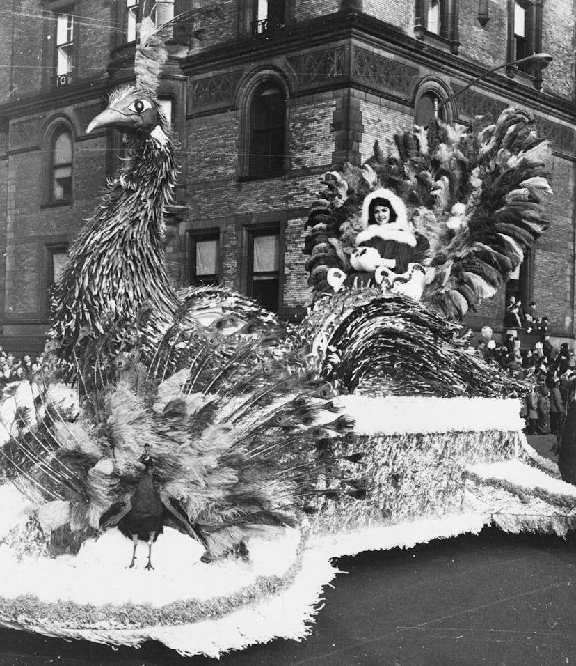 1961:  A peacock float taking part in a Thanksgiving Day Parade in a US city.  (Photo by William Lov...