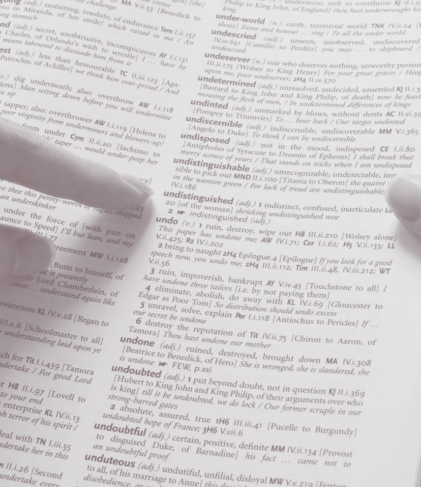 Looking Up a Dictionary