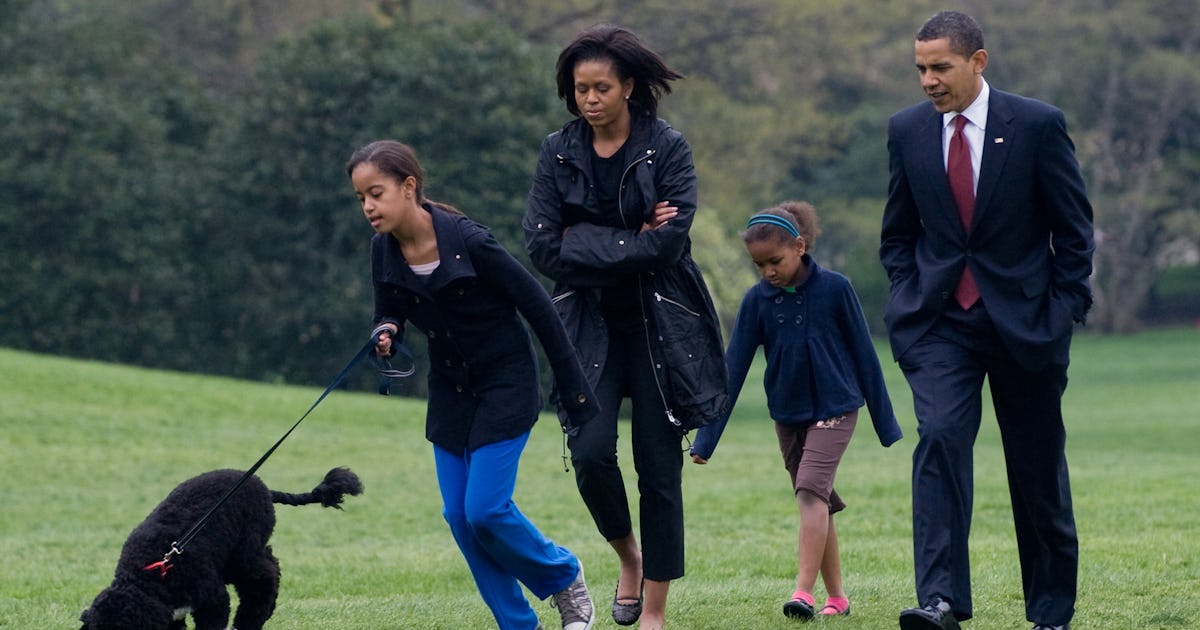 Hp laptop thanksgiving deal Hp laptop thanksgiving deal