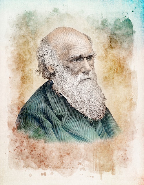 Synes godt om fjende letvægt An obscure Darwin idea could be key to solving the climate crisis