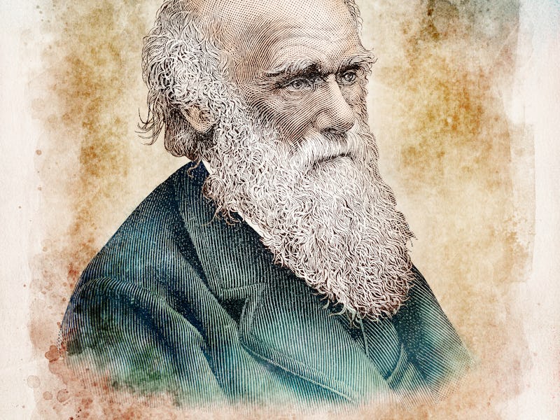 Steel engraving of naturalist Charles Darwin
Original edition from my own archives
Source : Science ...