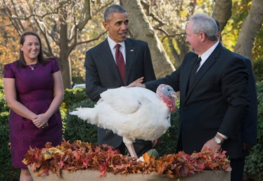 US President Barack Obama(C) prepares to "pardon" the National Thanksgiving Turkey in the Rose Garde...
