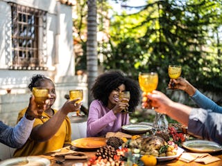 Family toasting at Thanksgiving, which they'll share in their chat with some Thanksgiving-themed gro...