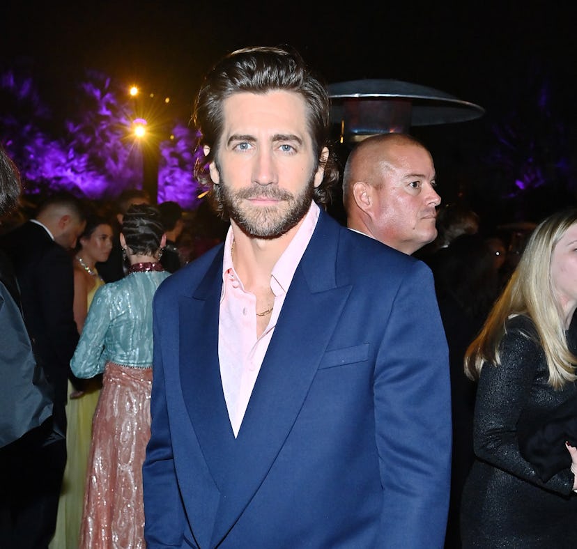Jake Gyllenhaal's rumored cat, Ms. Fluffle Stilt Skin, asks Taylor Swift fans to quit their cyber-bu...