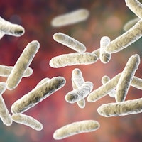 Probiotic bacteria, normal intestinal microbiota, computer illustration. Bacteria used as probiotic ...
